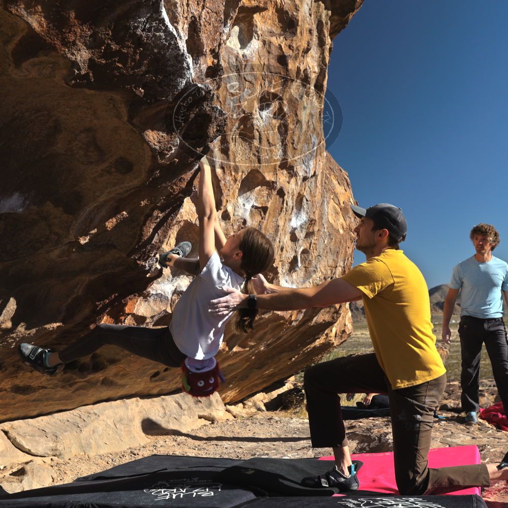 Filename: SRM_20230314_0838540.jpg
Aperture: f/5.6
Shutter Speed: 1/500
Body: Canon EOS R6
Lens: Canon EF 16-35mm f/2.8 L