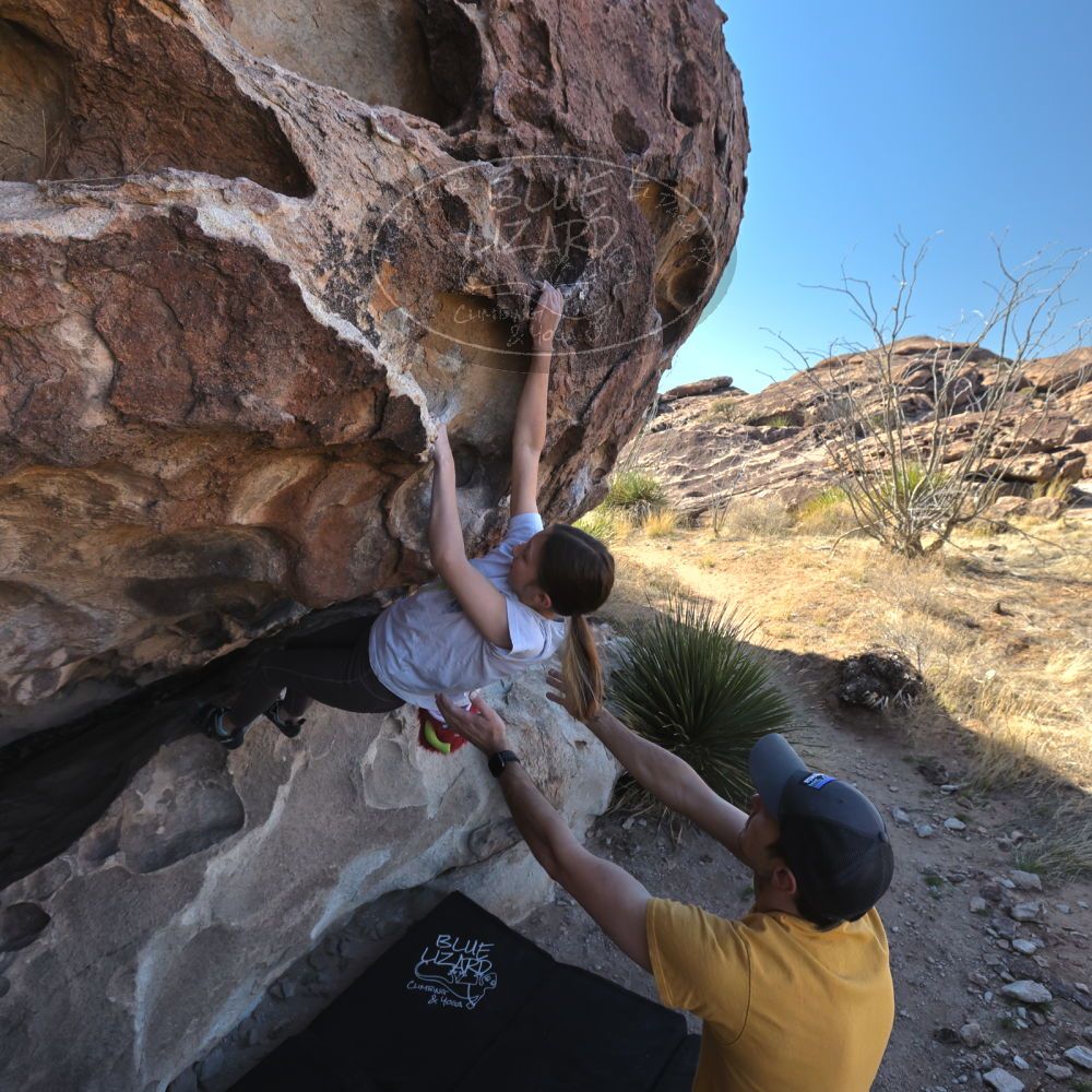 

Filename: SRM_20230314_0926550.jpg
Aperture: f/5.6
Shutter Speed: 1/500
Body: Canon EOS R6
Lens: Canon EF 16-35mm f/2.8 L