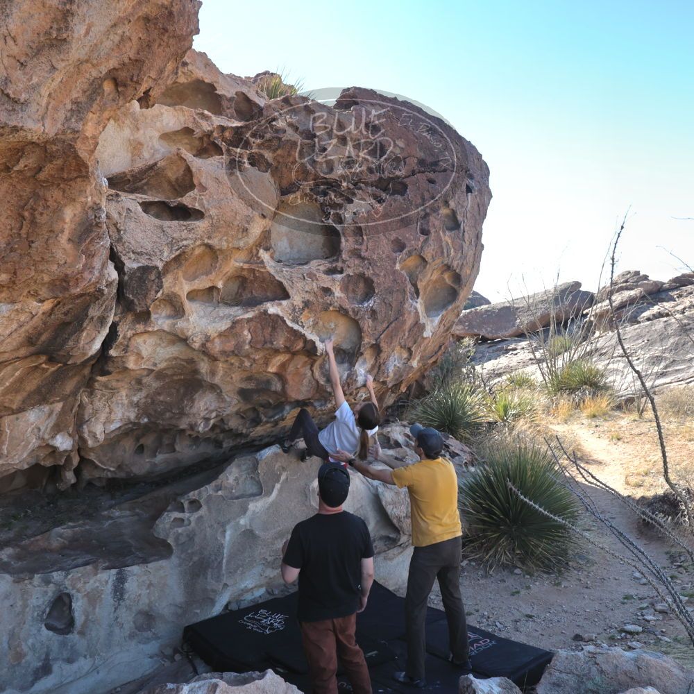 Filename: SRM_20230314_0929330.jpg
Aperture: f/5.6
Shutter Speed: 1/500
Body: Canon EOS R6
Lens: Canon EF 16-35mm f/2.8 L