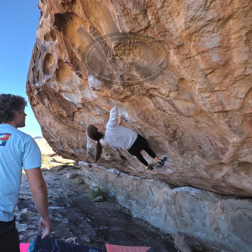 

Filename: SRM_20230314_0929520.jpg
Aperture: f/5.6
Shutter Speed: 1/500
Body: Canon EOS R6
Lens: Canon EF 16-35mm f/2.8 L