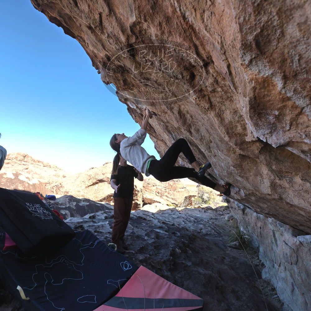 Filename: SRM_20230314_0932170.jpg
Aperture: f/5.6
Shutter Speed: 1/500
Body: Canon EOS R6
Lens: Canon EF 16-35mm f/2.8 L