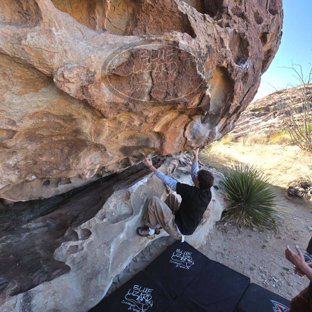 Filename: SRM_20230314_0937190.jpg
Aperture: f/5.6
Shutter Speed: 1/500
Body: Canon EOS R6
Lens: Canon EF 16-35mm f/2.8 L