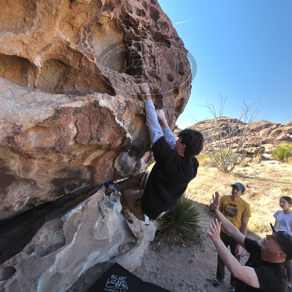 Filename: SRM_20230314_0937300.jpg
Aperture: f/5.6
Shutter Speed: 1/500
Body: Canon EOS R6
Lens: Canon EF 16-35mm f/2.8 L