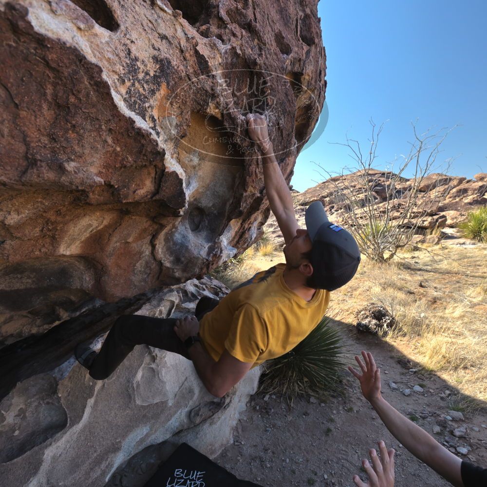 Filename: SRM_20230314_0940130.jpg
Aperture: f/5.6
Shutter Speed: 1/500
Body: Canon EOS R6
Lens: Canon EF 16-35mm f/2.8 L