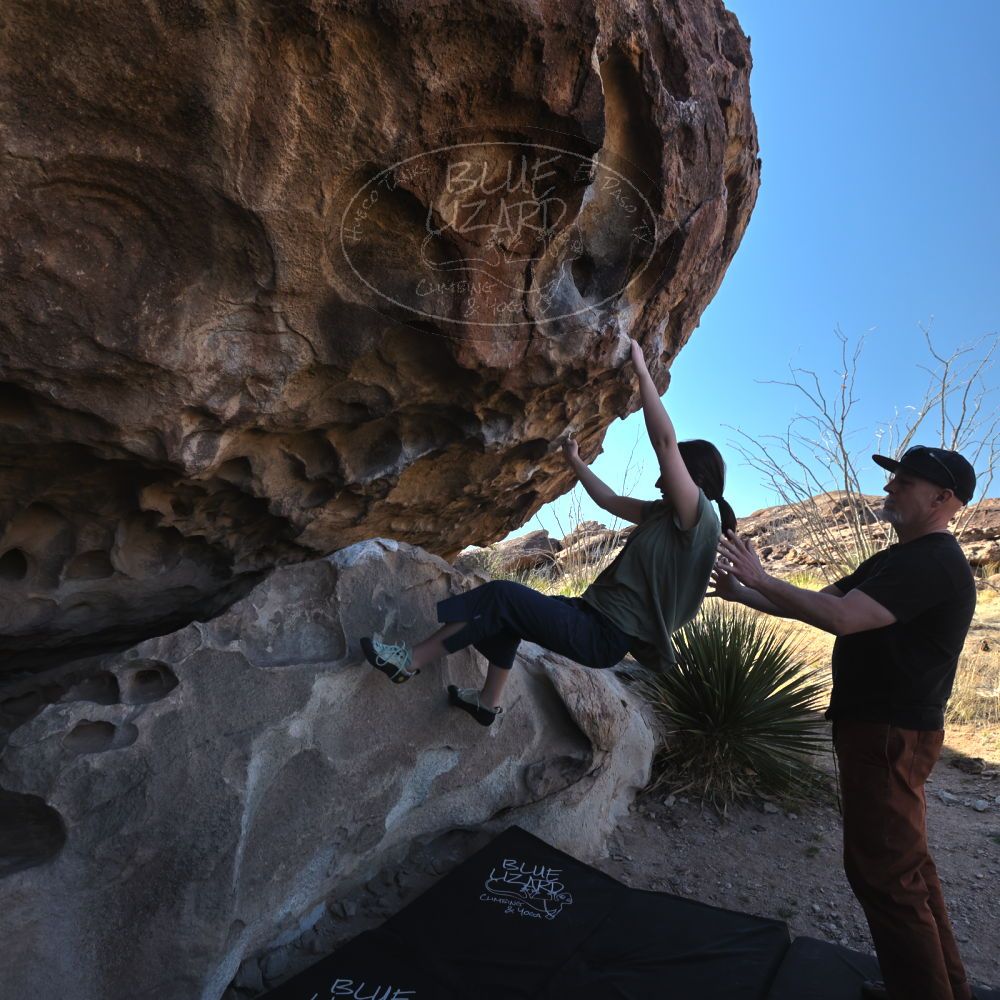 Filename: SRM_20230314_0941210.jpg
Aperture: f/5.6
Shutter Speed: 1/500
Body: Canon EOS R6
Lens: Canon EF 16-35mm f/2.8 L