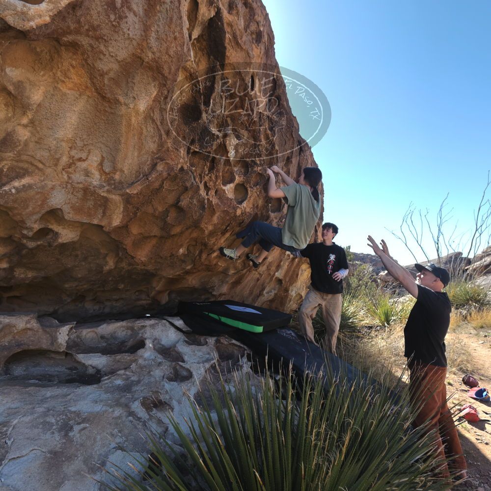 Filename: SRM_20230314_0953180.jpg
Aperture: f/5.6
Shutter Speed: 1/500
Body: Canon EOS R6
Lens: Canon EF 16-35mm f/2.8 L