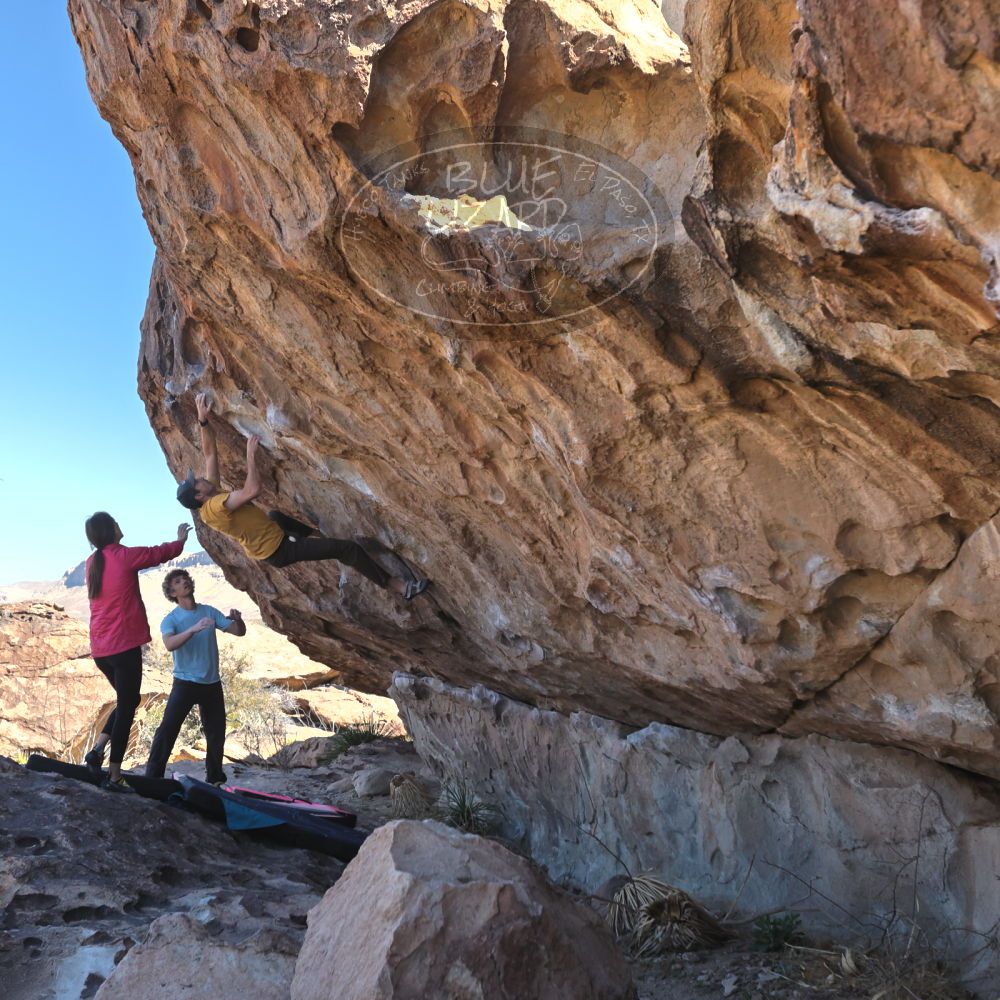 Filename: SRM_20230314_0955040.jpg
Aperture: f/5.6
Shutter Speed: 1/500
Body: Canon EOS R6
Lens: Canon EF 16-35mm f/2.8 L