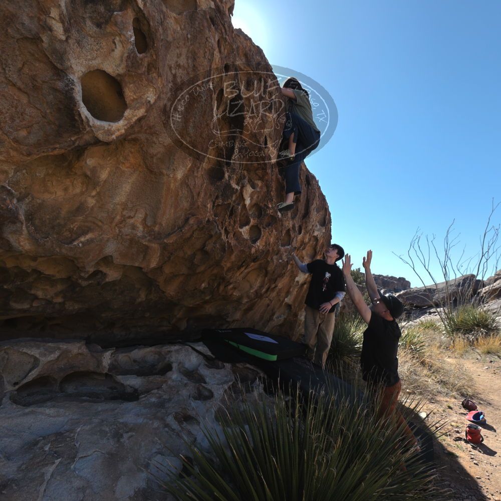 

Filename: SRM_20230314_0956480.jpg
Aperture: f/5.6
Shutter Speed: 1/500
Body: Canon EOS R6
Lens: Canon EF 16-35mm f/2.8 L