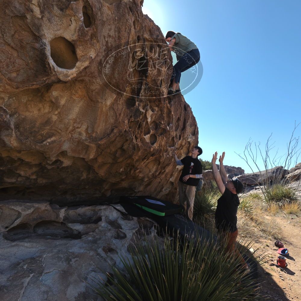 

Filename: SRM_20230314_0956500.jpg
Aperture: f/5.6
Shutter Speed: 1/500
Body: Canon EOS R6
Lens: Canon EF 16-35mm f/2.8 L