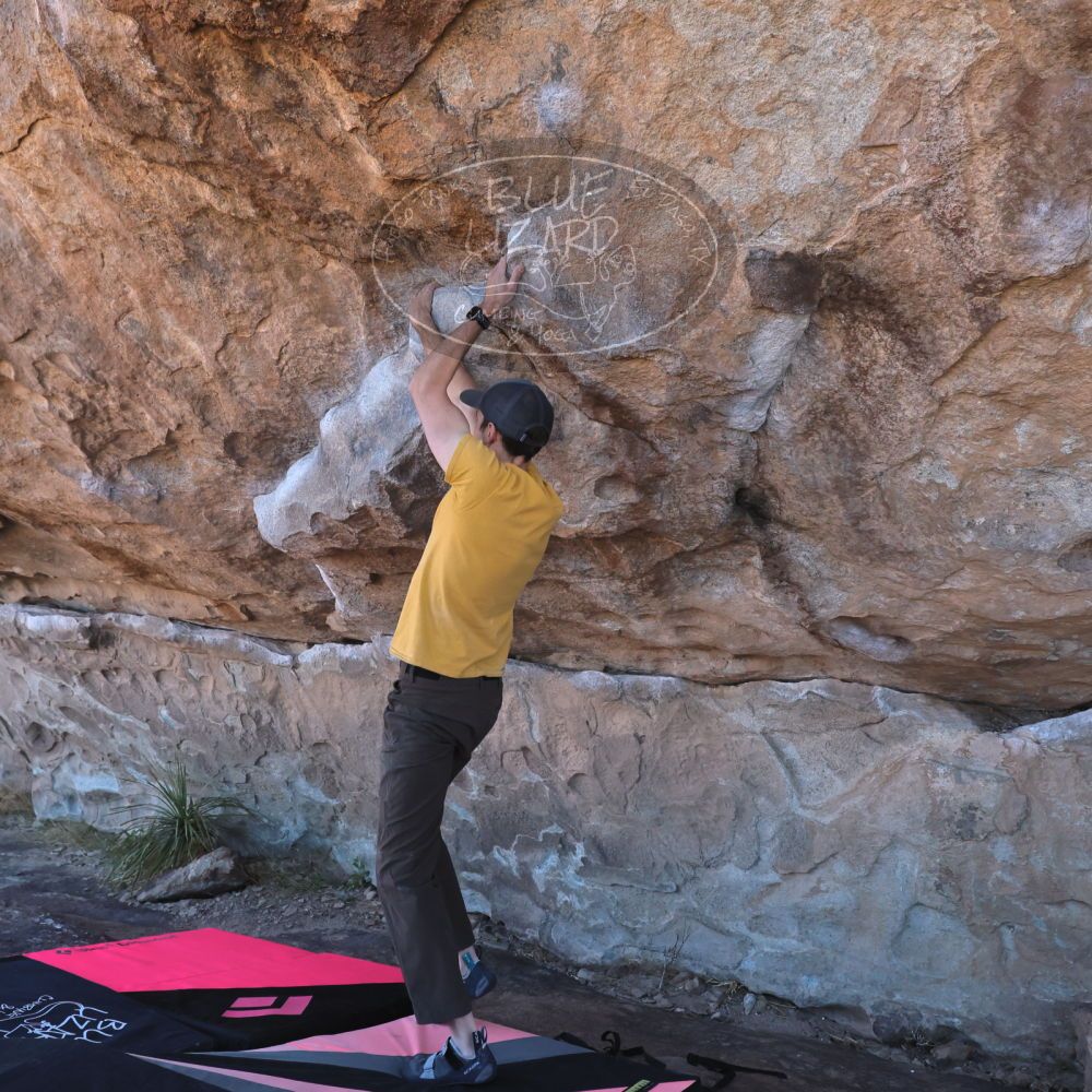 Filename: SRM_20230314_1002030.jpg
Aperture: f/5.6
Shutter Speed: 1/500
Body: Canon EOS R6
Lens: Canon EF 16-35mm f/2.8 L