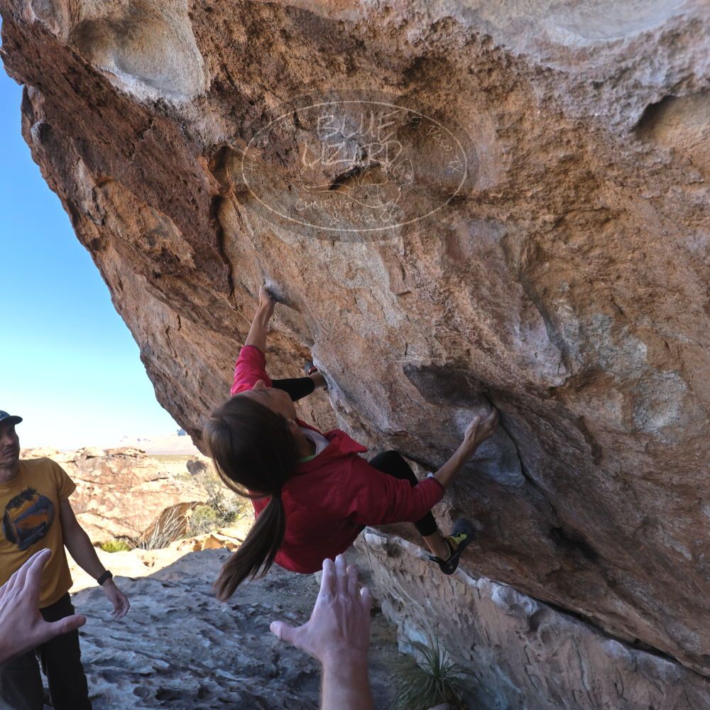 Filename: SRM_20230314_1002480.jpg
Aperture: f/5.6
Shutter Speed: 1/500
Body: Canon EOS R6
Lens: Canon EF 16-35mm f/2.8 L