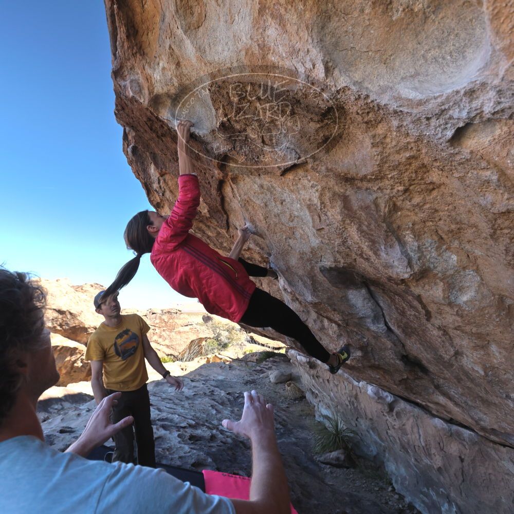 Filename: SRM_20230314_1002481.jpg
Aperture: f/5.6
Shutter Speed: 1/500
Body: Canon EOS R6
Lens: Canon EF 16-35mm f/2.8 L