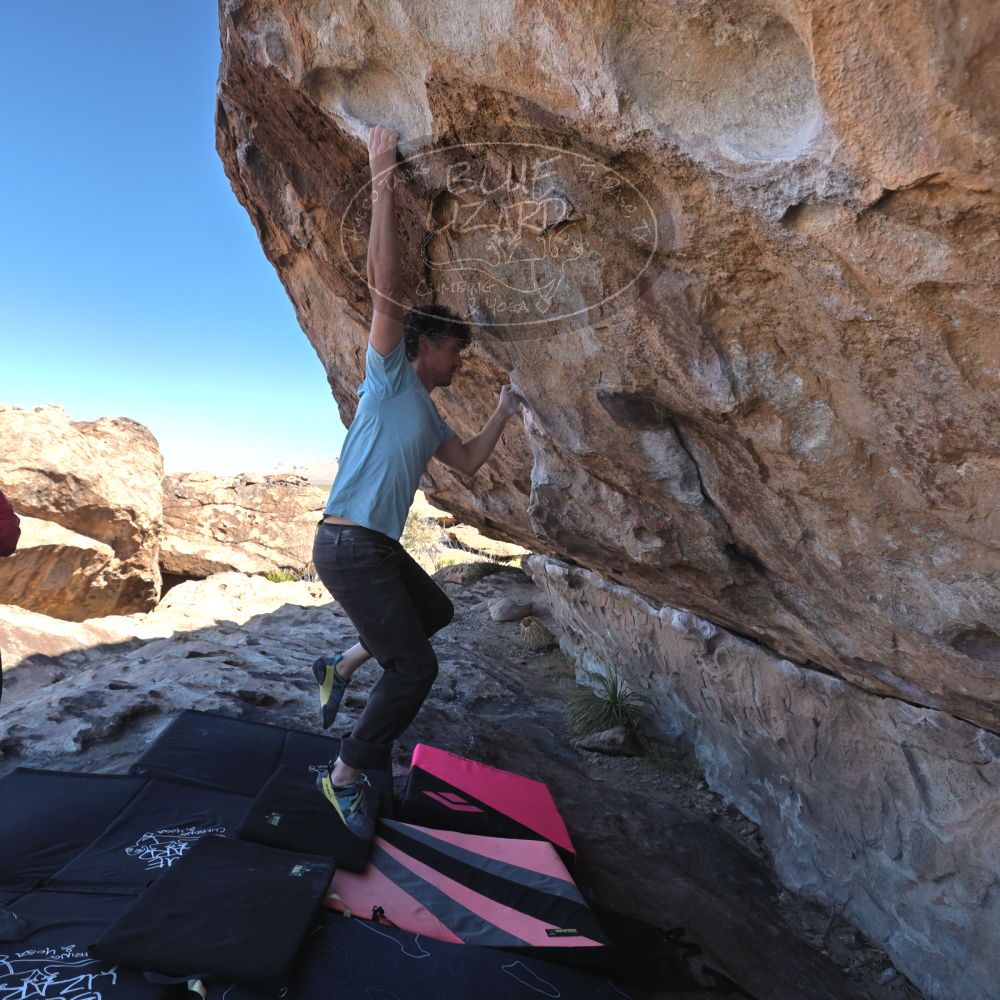 Filename: SRM_20230314_1007511.jpg
Aperture: f/5.6
Shutter Speed: 1/500
Body: Canon EOS R6
Lens: Canon EF 16-35mm f/2.8 L