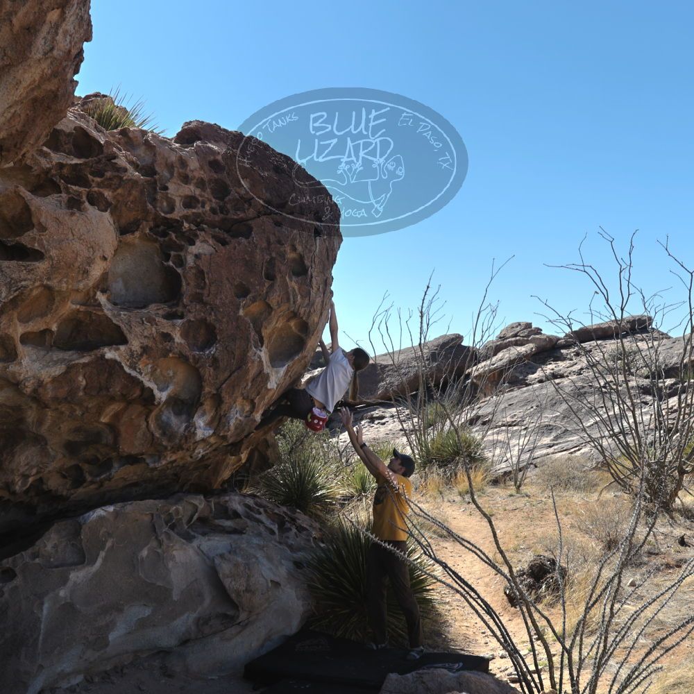 Filename: SRM_20230314_1013440.jpg
Aperture: f/5.6
Shutter Speed: 1/500
Body: Canon EOS R6
Lens: Canon EF 16-35mm f/2.8 L