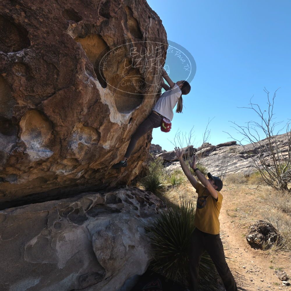 Filename: SRM_20230314_1013580.jpg
Aperture: f/5.6
Shutter Speed: 1/500
Body: Canon EOS R6
Lens: Canon EF 16-35mm f/2.8 L