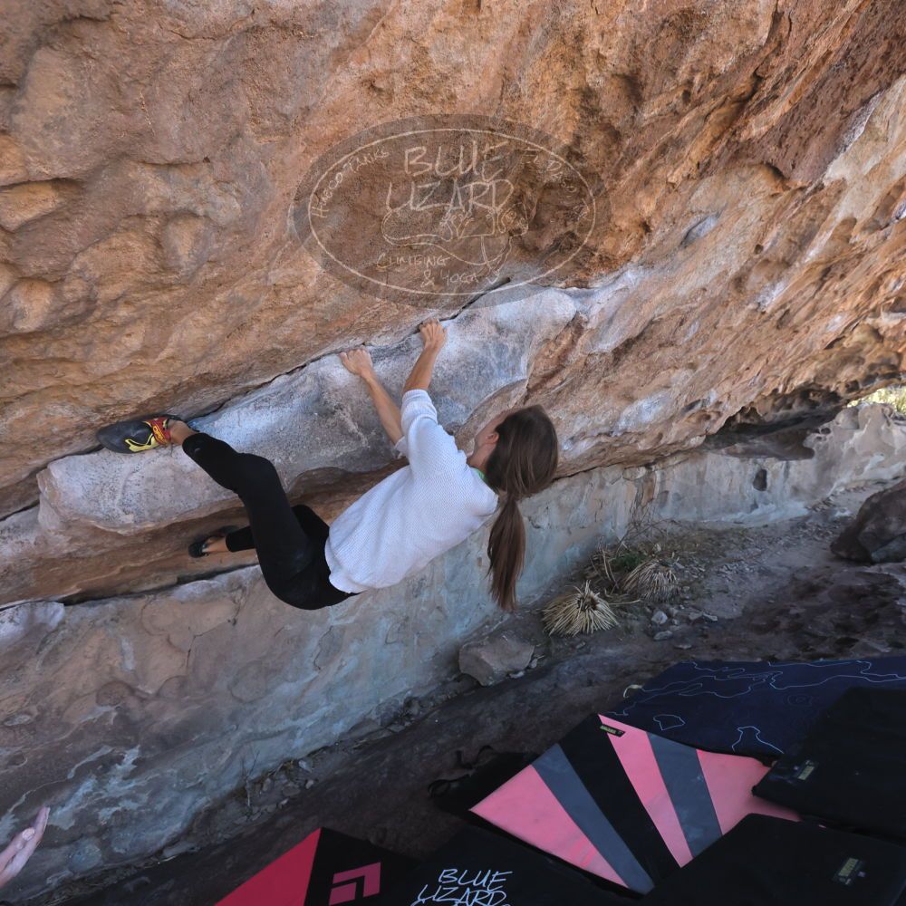 Filename: SRM_20230314_1017340.jpg
Aperture: f/5.6
Shutter Speed: 1/500
Body: Canon EOS R6
Lens: Canon EF 16-35mm f/2.8 L