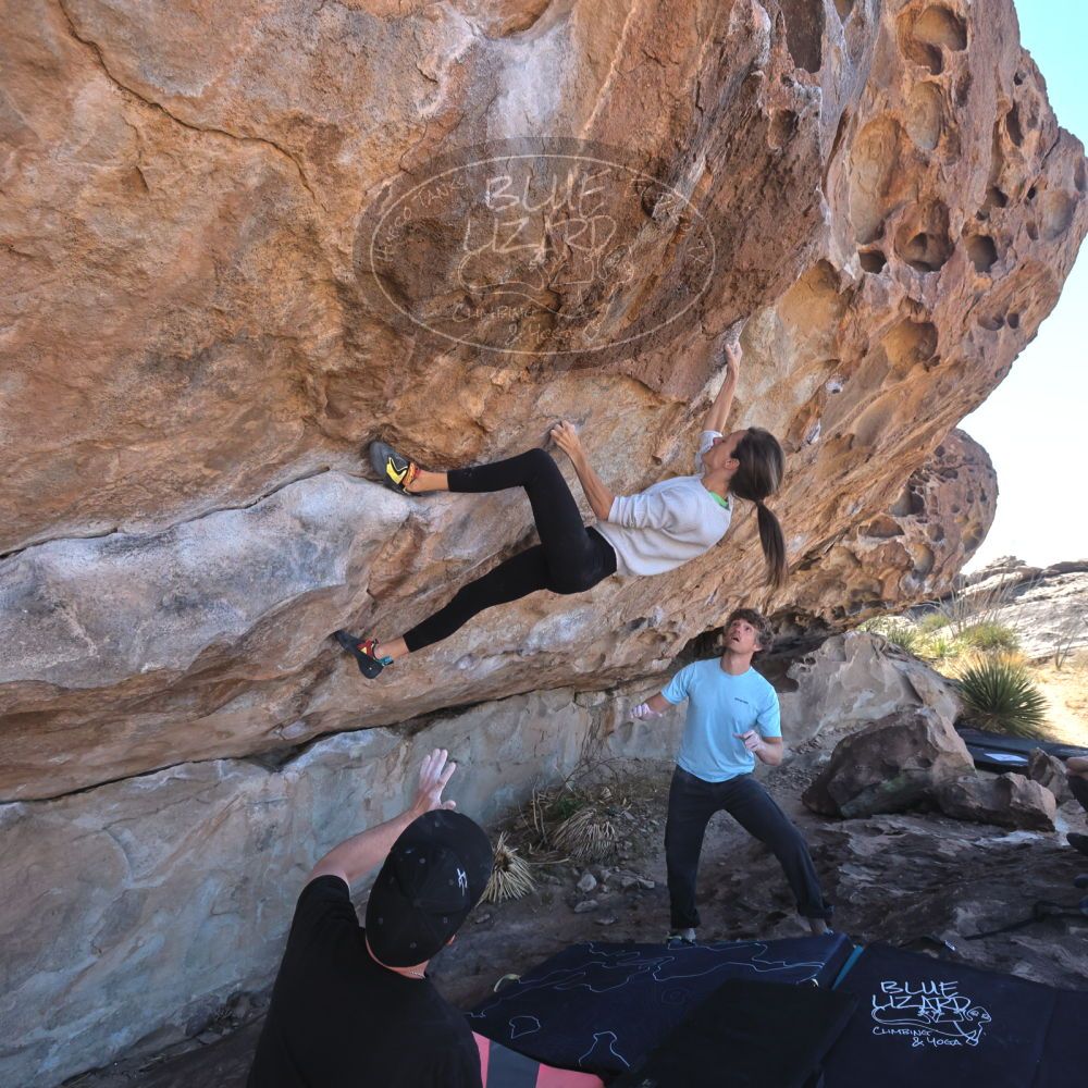 Filename: SRM_20230314_1018040.jpg
Aperture: f/5.6
Shutter Speed: 1/500
Body: Canon EOS R6
Lens: Canon EF 16-35mm f/2.8 L