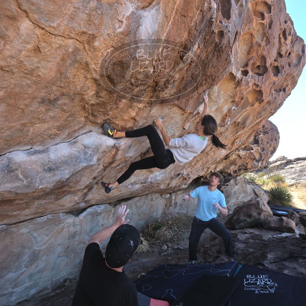 Filename: SRM_20230314_1018041.jpg
Aperture: f/5.6
Shutter Speed: 1/500
Body: Canon EOS R6
Lens: Canon EF 16-35mm f/2.8 L