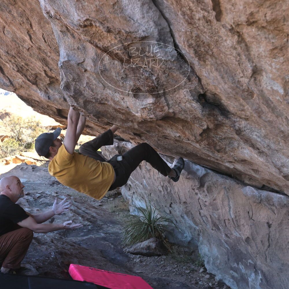 Filename: SRM_20230314_1025200.jpg
Aperture: f/5.6
Shutter Speed: 1/500
Body: Canon EOS R6
Lens: Canon EF 16-35mm f/2.8 L