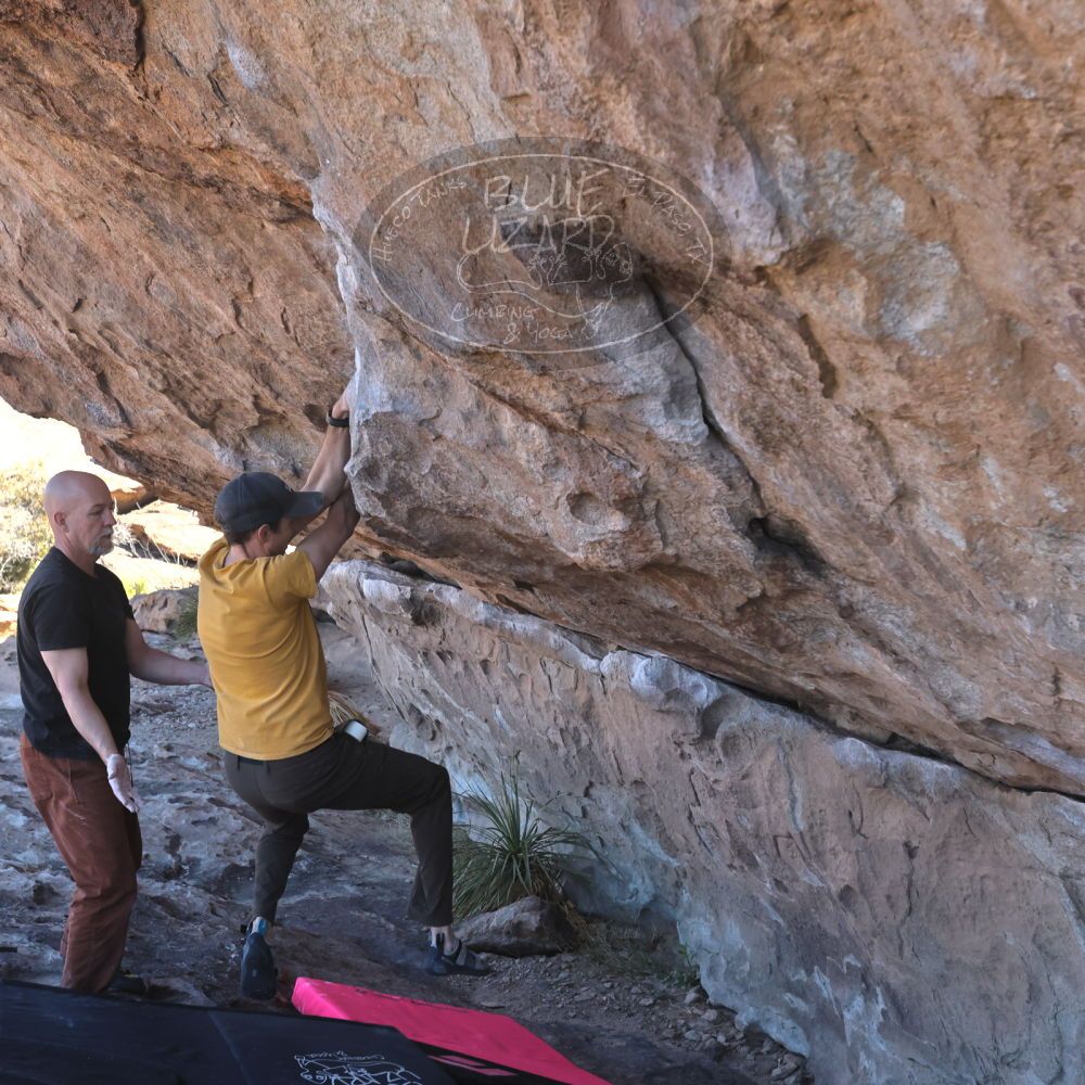 Filename: SRM_20230314_1025360.jpg
Aperture: f/5.6
Shutter Speed: 1/500
Body: Canon EOS R6
Lens: Canon EF 16-35mm f/2.8 L