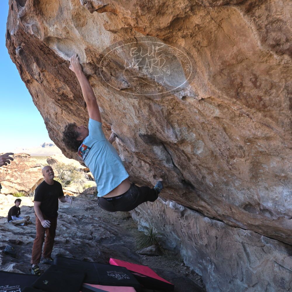 Filename: SRM_20230314_1027101.jpg
Aperture: f/5.6
Shutter Speed: 1/500
Body: Canon EOS R6
Lens: Canon EF 16-35mm f/2.8 L