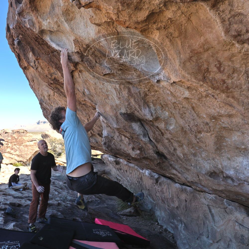 Filename: SRM_20230314_1027110.jpg
Aperture: f/5.6
Shutter Speed: 1/500
Body: Canon EOS R6
Lens: Canon EF 16-35mm f/2.8 L