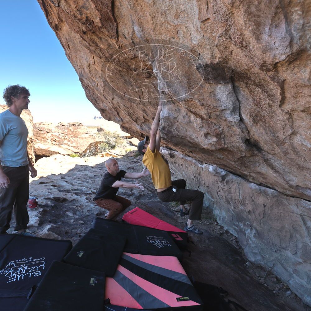 Filename: SRM_20230314_1031470.jpg
Aperture: f/5.6
Shutter Speed: 1/500
Body: Canon EOS R6
Lens: Canon EF 16-35mm f/2.8 L