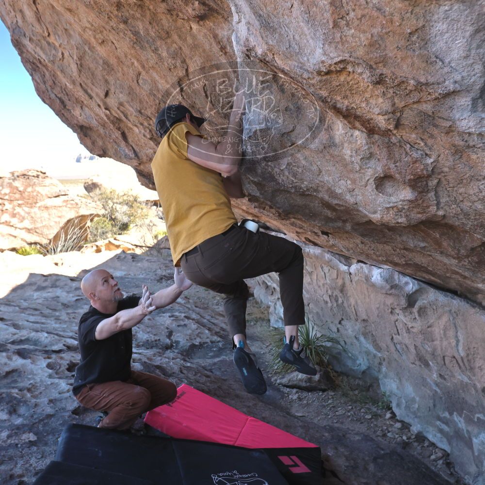 Filename: SRM_20230314_1031500.jpg
Aperture: f/5.6
Shutter Speed: 1/500
Body: Canon EOS R6
Lens: Canon EF 16-35mm f/2.8 L