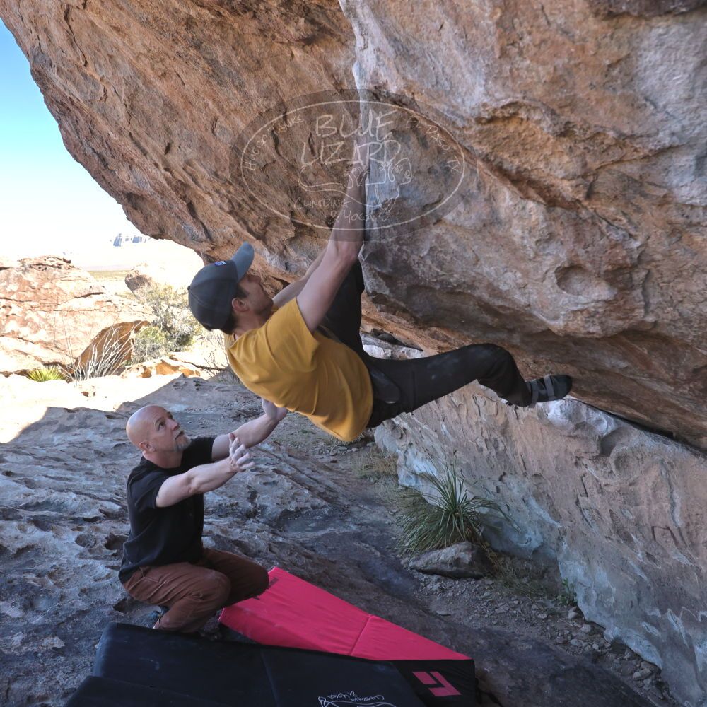 Filename: SRM_20230314_1031520.jpg
Aperture: f/5.6
Shutter Speed: 1/500
Body: Canon EOS R6
Lens: Canon EF 16-35mm f/2.8 L