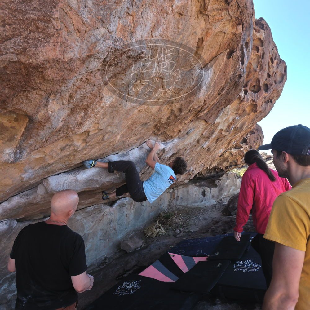 Filename: SRM_20230314_1036440.jpg
Aperture: f/5.6
Shutter Speed: 1/500
Body: Canon EOS R6
Lens: Canon EF 16-35mm f/2.8 L