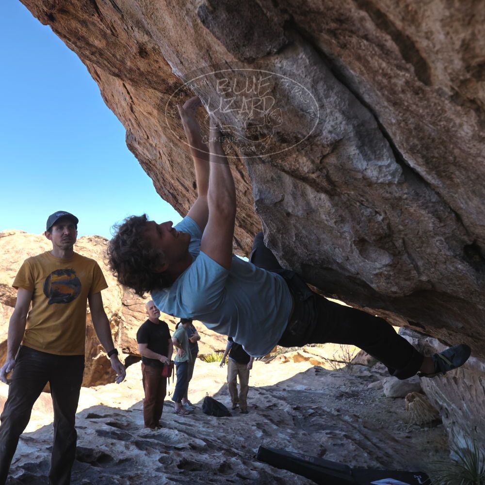 

Filename: SRM_20230314_1050260.jpg
Aperture: f/5.6
Shutter Speed: 1/500
Body: Canon EOS R6
Lens: Canon EF 16-35mm f/2.8 L