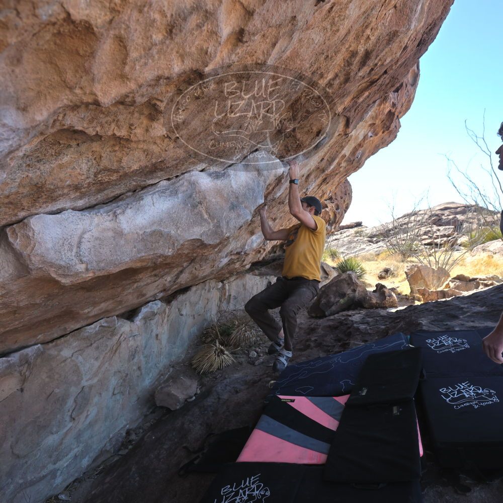 Filename: SRM_20230314_1054210.jpg
Aperture: f/5.6
Shutter Speed: 1/500
Body: Canon EOS R6
Lens: Canon EF 16-35mm f/2.8 L