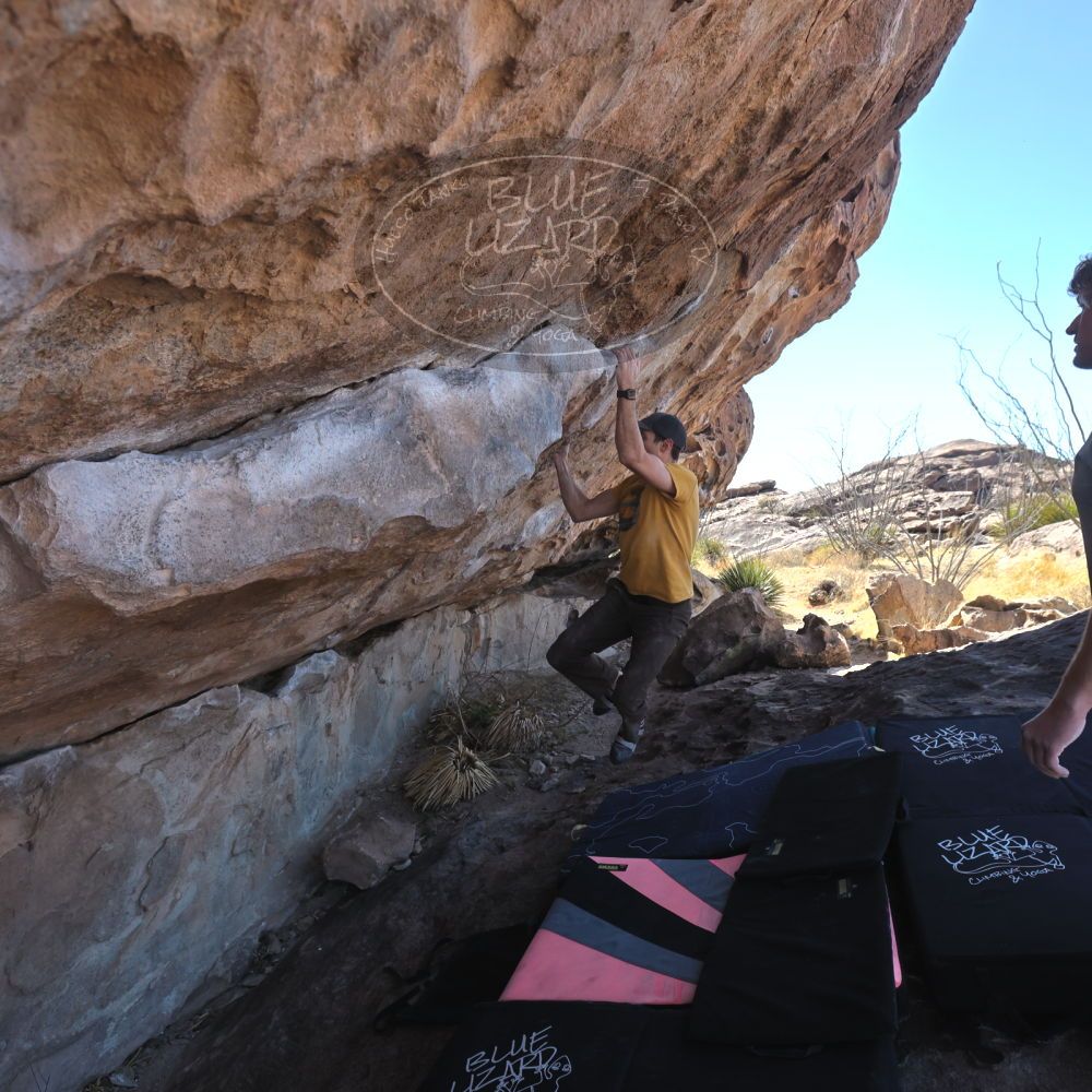 

Filename: SRM_20230314_1054220.jpg
Aperture: f/5.6
Shutter Speed: 1/500
Body: Canon EOS R6
Lens: Canon EF 16-35mm f/2.8 L