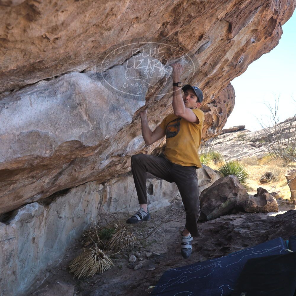 Filename: SRM_20230314_1054240.jpg
Aperture: f/5.6
Shutter Speed: 1/500
Body: Canon EOS R6
Lens: Canon EF 16-35mm f/2.8 L