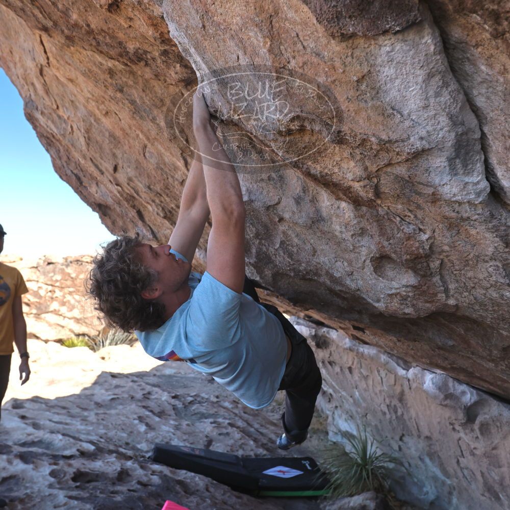 

Filename: SRM_20230314_1058370.jpg
Aperture: f/5.6
Shutter Speed: 1/500
Body: Canon EOS R6
Lens: Canon EF 16-35mm f/2.8 L