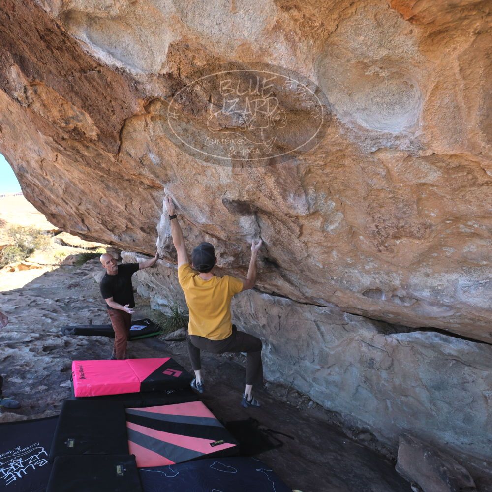 Filename: SRM_20230314_1100580.jpg
Aperture: f/5.6
Shutter Speed: 1/500
Body: Canon EOS R6
Lens: Canon EF 16-35mm f/2.8 L