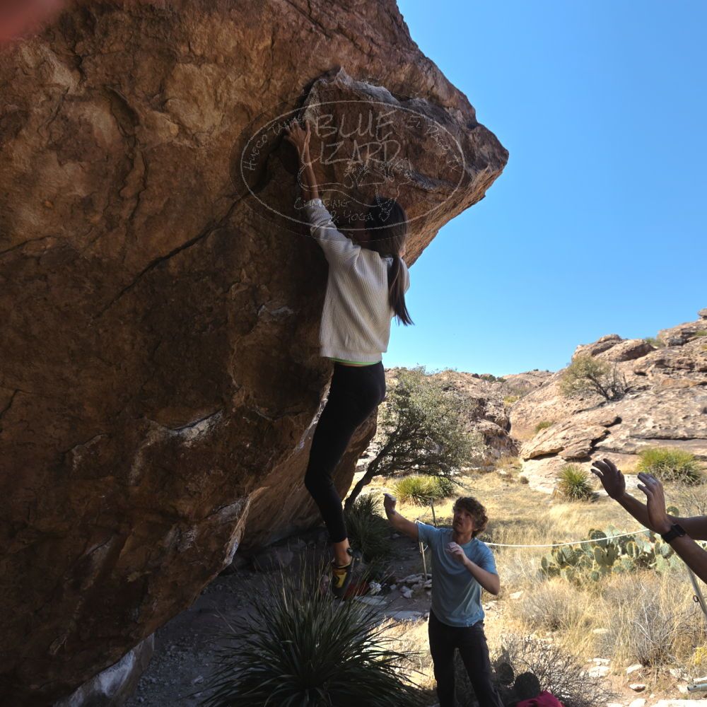 Filename: SRM_20230314_1207440.jpg
Aperture: f/5.6
Shutter Speed: 1/500
Body: Canon EOS R6
Lens: Canon EF 16-35mm f/2.8 L