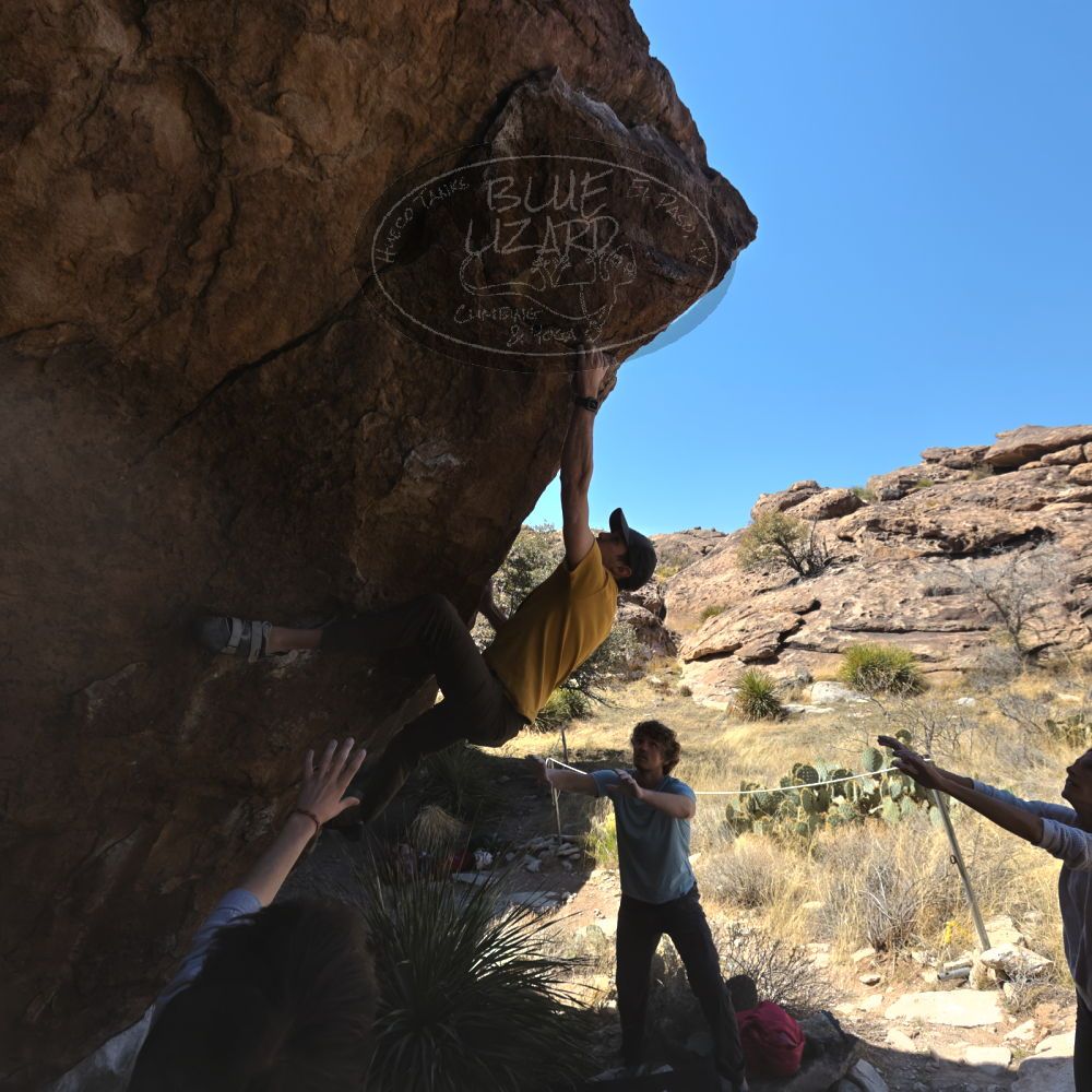 

Filename: SRM_20230314_1213160.jpg
Aperture: f/5.6
Shutter Speed: 1/500
Body: Canon EOS R6
Lens: Canon EF 16-35mm f/2.8 L