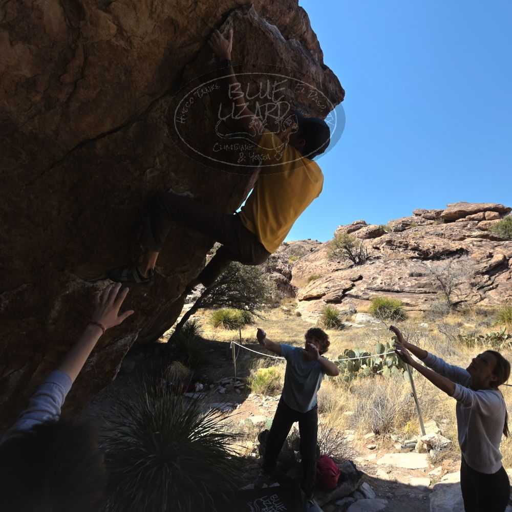 

Filename: SRM_20230314_1213260.jpg
Aperture: f/5.6
Shutter Speed: 1/500
Body: Canon EOS R6
Lens: Canon EF 16-35mm f/2.8 L