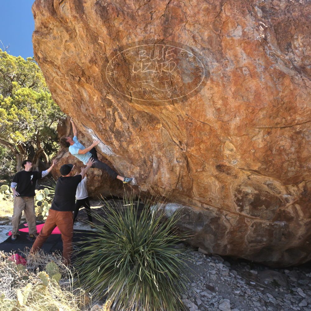 Filename: SRM_20230314_1220290.jpg
Aperture: f/5.6
Shutter Speed: 1/500
Body: Canon EOS R6
Lens: Canon EF 16-35mm f/2.8 L