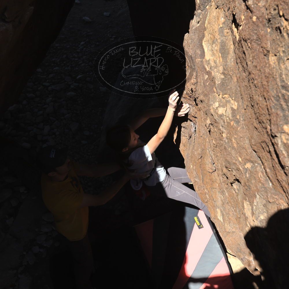 

Filename: SRM_20230314_1224011.jpg
Aperture: f/5.6
Shutter Speed: 1/500
Body: Canon EOS R6
Lens: Canon EF 16-35mm f/2.8 L