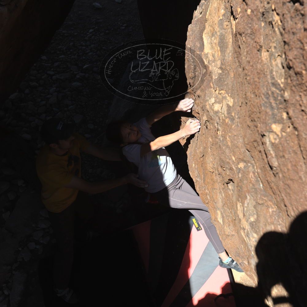 Filename: SRM_20230314_1225130.jpg
Aperture: f/5.6
Shutter Speed: 1/500
Body: Canon EOS R6
Lens: Canon EF 16-35mm f/2.8 L