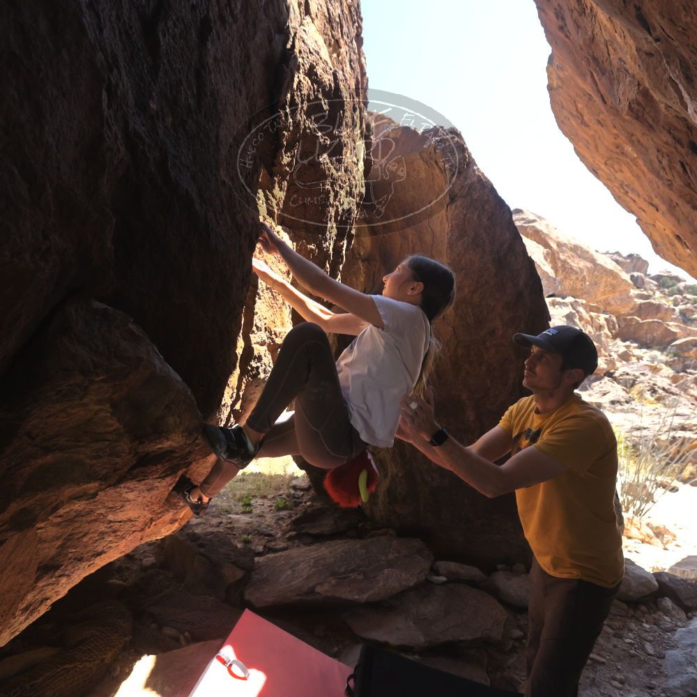 Filename: SRM_20230314_1231540.jpg
Aperture: f/5.6
Shutter Speed: 1/500
Body: Canon EOS R6
Lens: Canon EF 16-35mm f/2.8 L