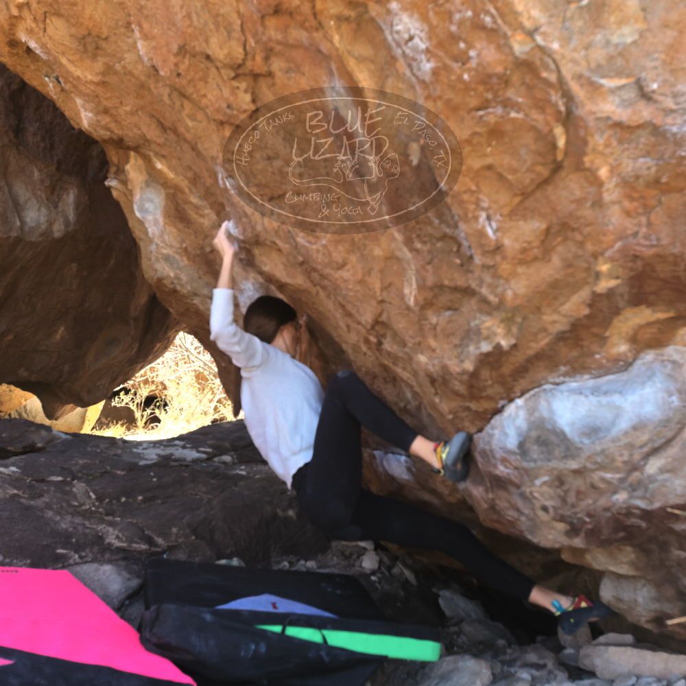 

Filename: SRM_20230314_1239020.jpg
Aperture: f/5.6
Shutter Speed: 1/500
Body: Canon EOS R6
Lens: Canon EF 16-35mm f/2.8 L