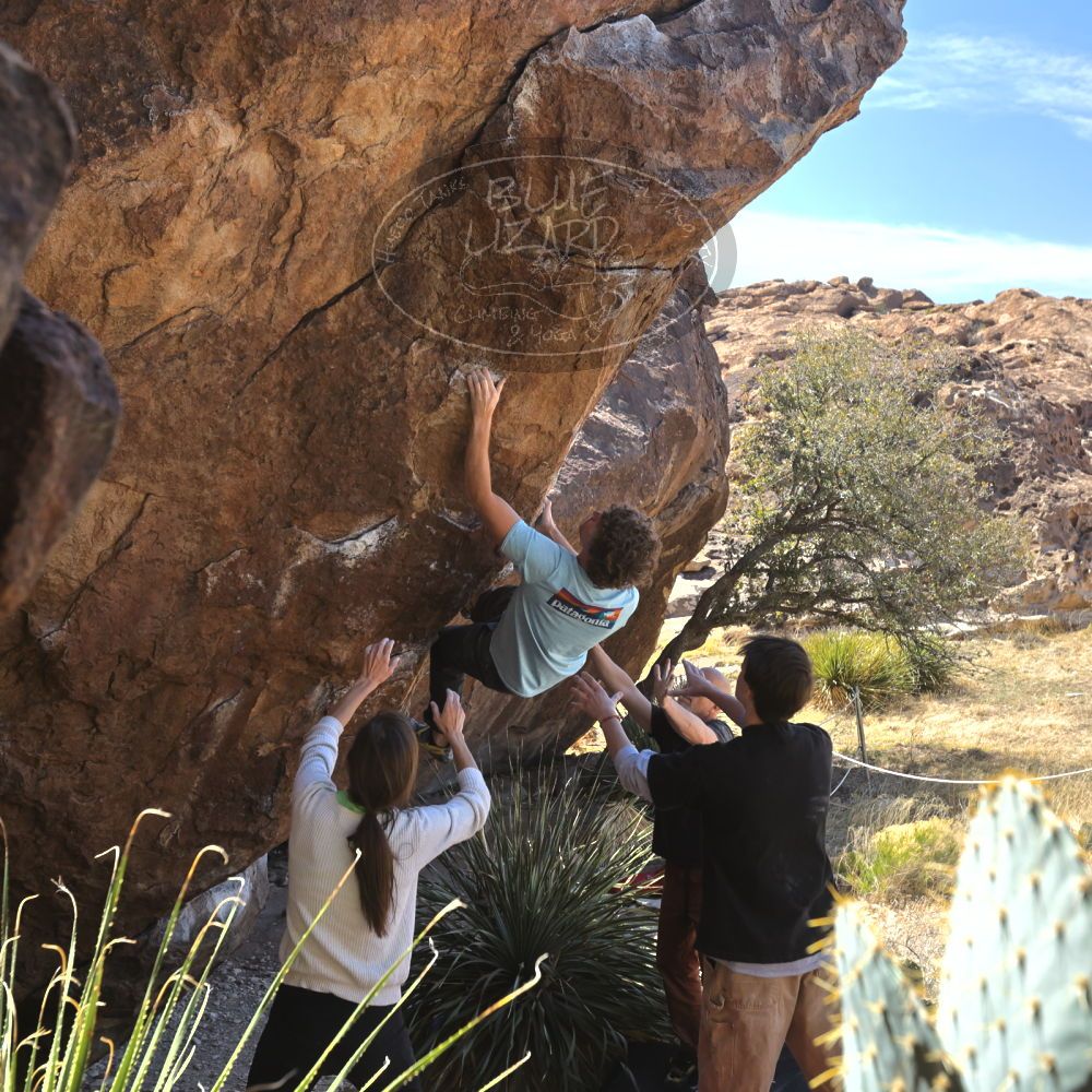 Filename: SRM_20230314_1242260.jpg
Aperture: f/5.6
Shutter Speed: 1/500
Body: Canon EOS R6
Lens: Canon EF 16-35mm f/2.8 L