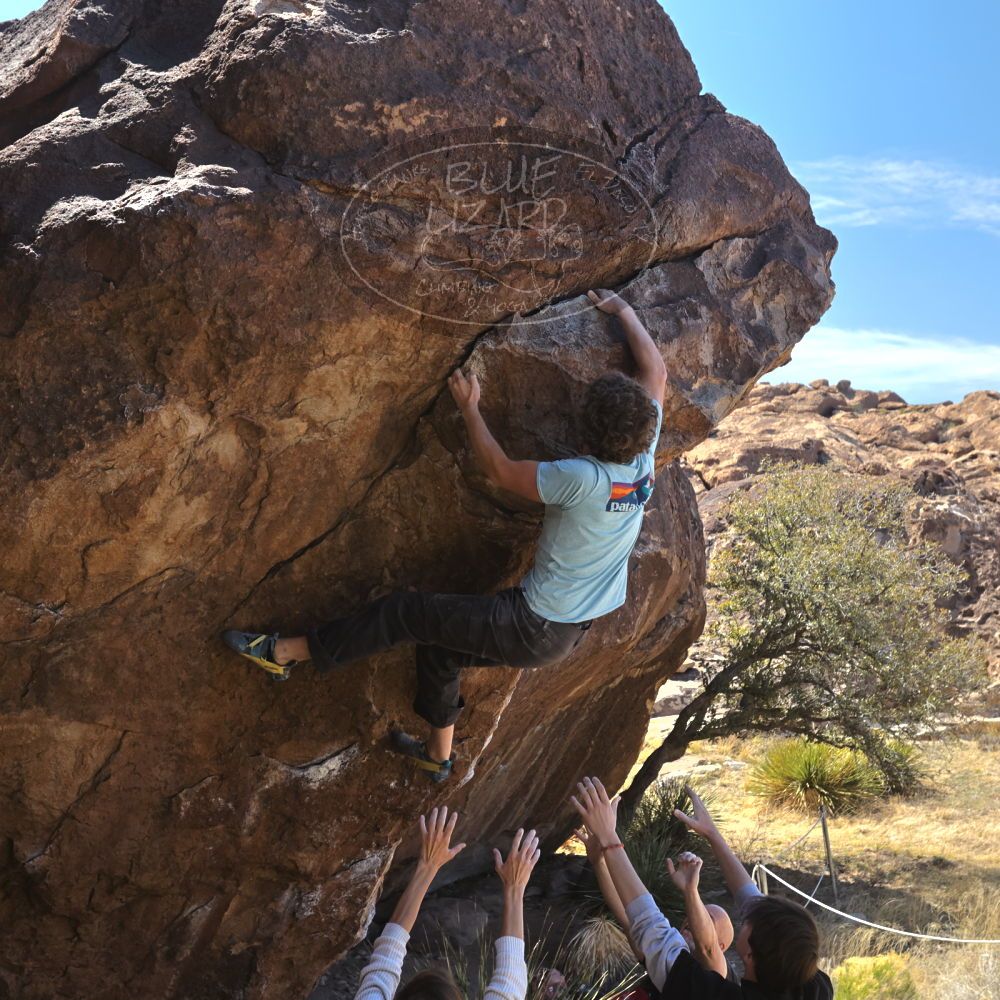 Filename: SRM_20230314_1242510.jpg
Aperture: f/5.6
Shutter Speed: 1/500
Body: Canon EOS R6
Lens: Canon EF 16-35mm f/2.8 L