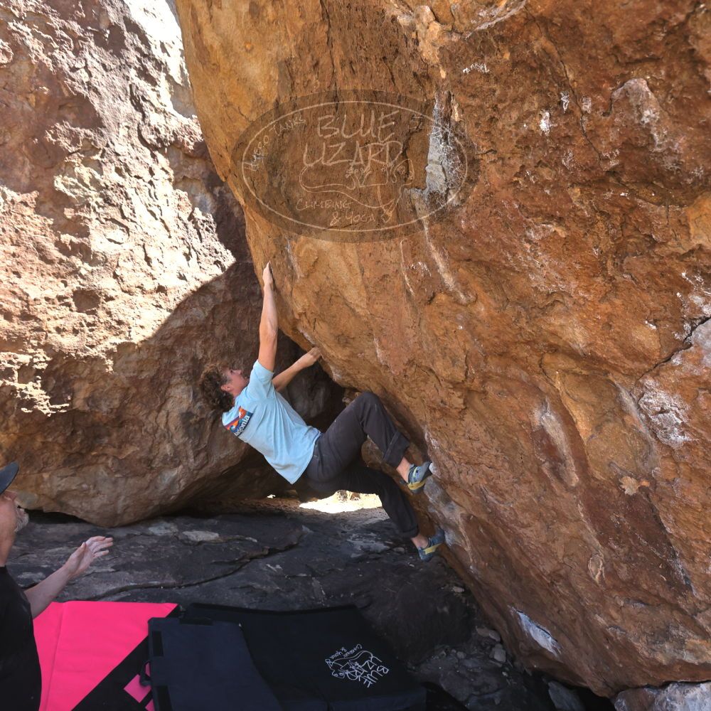 

Filename: SRM_20230314_1300060.jpg
Aperture: f/5.6
Shutter Speed: 1/500
Body: Canon EOS R6
Lens: Canon EF 16-35mm f/2.8 L