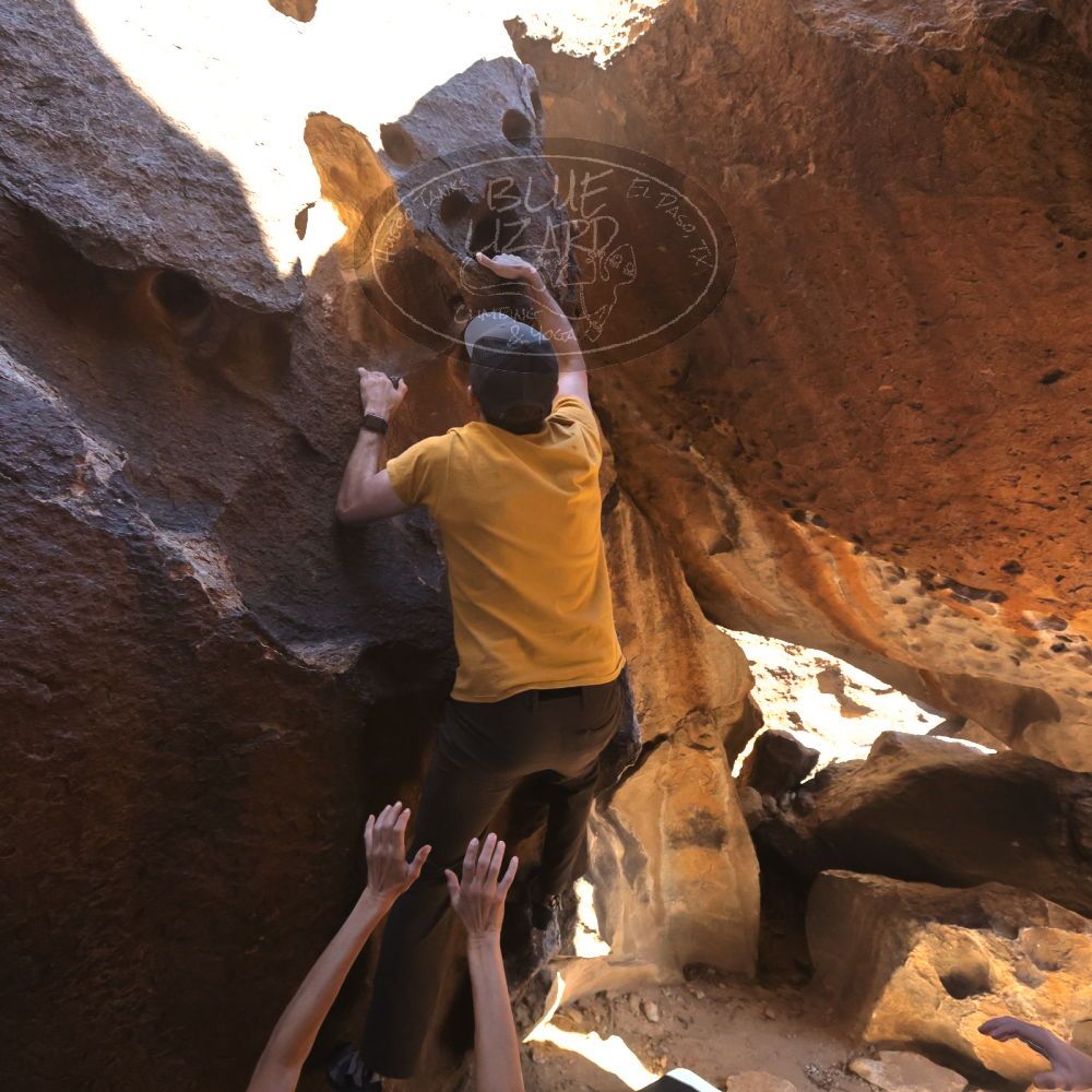 

Filename: SRM_20230314_1426150.jpg
Aperture: f/5.6
Shutter Speed: 1/500
Body: Canon EOS R6
Lens: Canon EF 16-35mm f/2.8 L