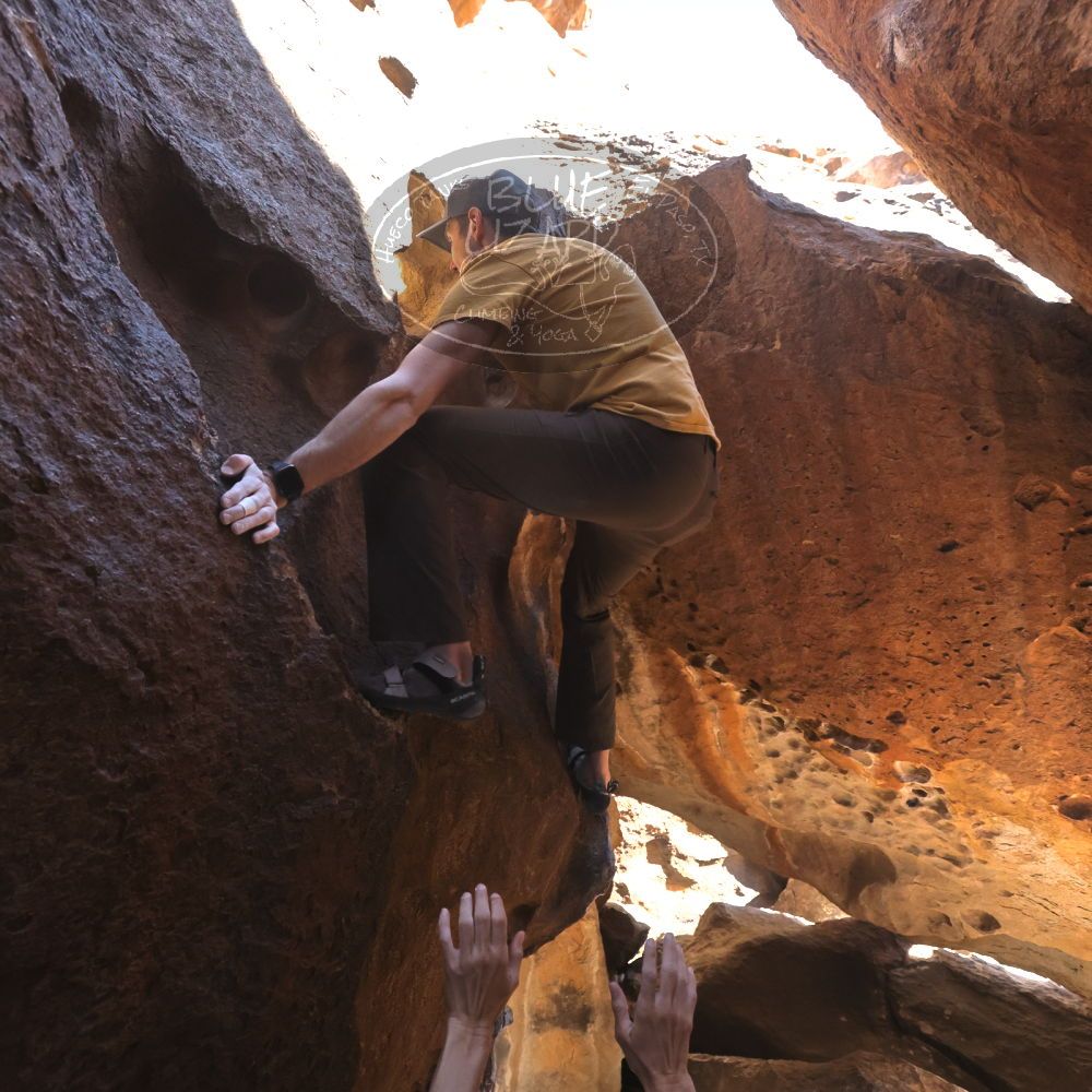 

Filename: SRM_20230314_1426210.jpg
Aperture: f/5.6
Shutter Speed: 1/500
Body: Canon EOS R6
Lens: Canon EF 16-35mm f/2.8 L