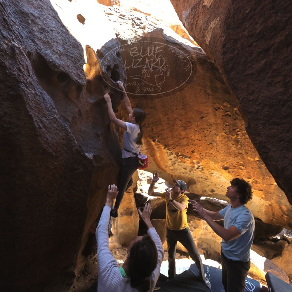 Filename: SRM_20230314_1433030.jpg
Aperture: f/5.6
Shutter Speed: 1/500
Body: Canon EOS R6
Lens: Canon EF 16-35mm f/2.8 L